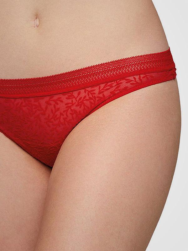Ysabel Mora veluurist mustriga läbipaistvad tangalõikelised püksikud "Christine Red"